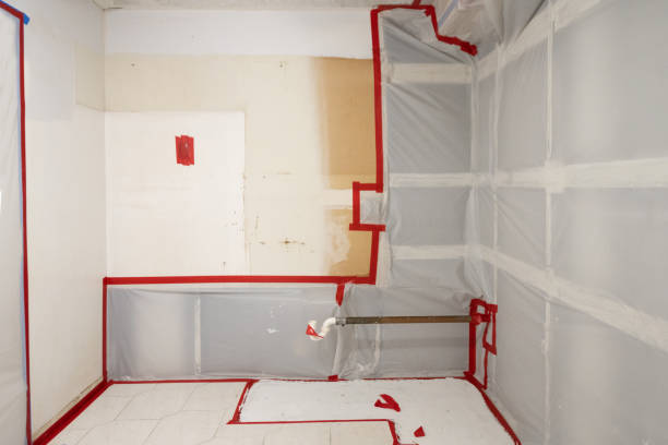 Reliable Tarboro, NC Mold Removal Solutions